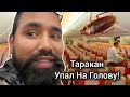Lagu ШОК!! В Самолёте Таракан Упал На Голову! А Потом Случилось Чудо! Индия Непал. Перелёт. 