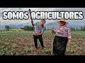 Download Lagu This is how WORK is in the FIELD, very HARD AND SACRIFICIAL