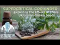 Supercritical Coriander Exploring The Novel Effects Of The Potent Seeds Grown By Ukrainian Farmers