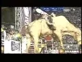 Download Lagu Bailao do Peão