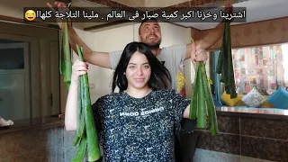 We Bought And Stored The Largest Amount Of Aloe Vera In The World We Filled The Whole Fridge 