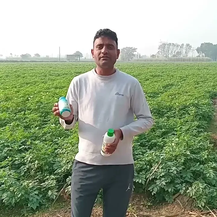 हापुड़ के किसान के खेतों में कैसे लहलहाई आलू की खेती |वनइंडिया हिंदी