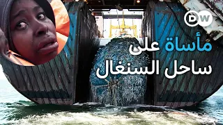 وثائقي السنغال نهب الثروة السمكية وتحطيم بنية المجتمع وثائقية دي دبليو  وثائقي السنغال نهب الثروة السمكية وتحطيم بنية المجتمع وثائقية دي دبليو