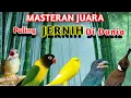 Download Lagu MASTERAN MURAI BATU ROLL TEMBAKAN PANJANG DAN MEWAH UNTUK BURUNG FIGHTER SUARA JERNIH