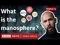 Why some men follow influencers like Andrew Tate - What in the World podcast, BBC World Service