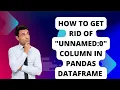 How to get rid of Unnamed 0 column in a pandas dataframe