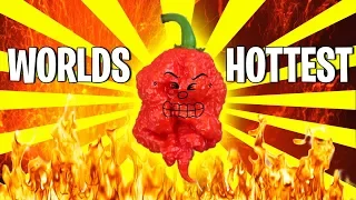 i made him eat the hottest pepper on the planet