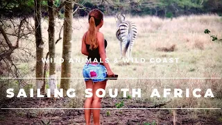 SAILING the wild SOUTH AFRICA coast – EP11,  Wild animals and Wild coast