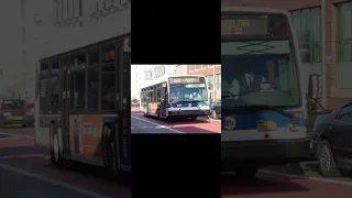 Q84 Bus Announcements to Laurelton 238 Street Weekday Service