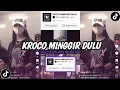 Download Lagu DJ KROCO MINGGIR DULU VIRAL TIK TOK TERBARU