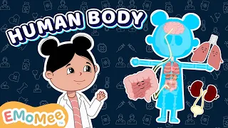 Learn Human Body Parts 🧠👀👂 | Body Parts for Kids | Educational Video | EMoMee