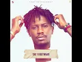 Juice (feat. Maleek Berry) - YCEE