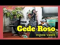 Download Lagu Gede Roso Versi Jaipong oQinawa  Ingwie Valent