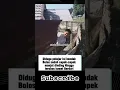 Download Lagu Endingnya tak terduga?