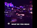 WHAT DO YOU MEAN - PHONK