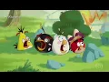 Download Lagu TV Globinho Exibindo O Angry Birds Fired Up (04/07/2020) Na Rede Globo (Sábado)