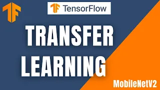 TensorFlow Classification With TensorFlow Transfer Learning MobileNetV2 Python TensorFlow