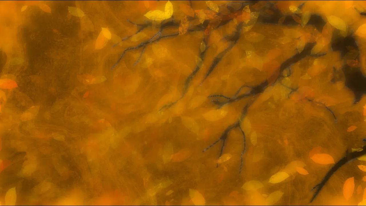Luke Van Gundy - autumn