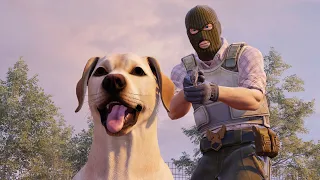 THEY ADDED DOGS TO CS2 ???