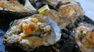 Gilhooley s Restaurant Oyster Bar Texas Country Reporter