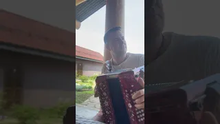 Частушка про гармониста 