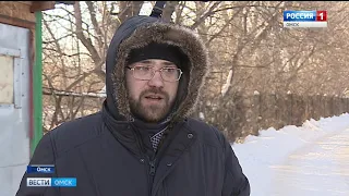 Жители одного из дачных поселков в Советском округе Омска жалуются на стаи бродячих собак