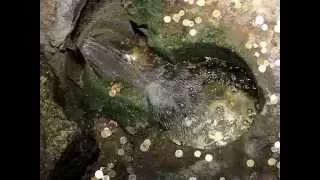 Nazareth St Gabriel Church Mary S Spring 