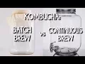 Kombucha Batch Brew vs Continuous Brew