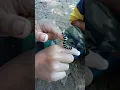 Download Lagu Menangkap ulat bulu 🐛