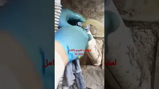 اسرع واسهل طريقه لتسليك صرف الحوض  اسرع واسهل طريقه لتسليك صرف الحوض