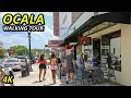 Experiencing Ocala Florida from a Local s Perspective