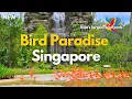 Download Lagu Bird Paradise Singapore Mandai Bird Park Tour