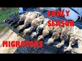 WISCONSIN SOUTHERN ZONE DUCK HUNT 2025 2 MAN LIMIT