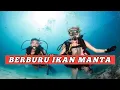 Lagu IKAN BESAR YANG SELALU JADI BURUAN WISATAWAN ASING DAN PARA PENYELAM PROFESSIONAL 