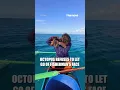 Octopus REFUSES to let go of fisherman s face