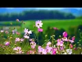 What a miracle feels like tauren wells lyrical video