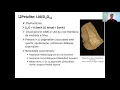 Lecture Lithium Minerals Li Pegmatite Sources - PART 2