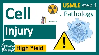 cell injury reversible vs irreversible cell injury general pathology animated usmle step1