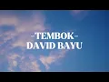 DAVID BAYU - TEMBOK (Lyrics)