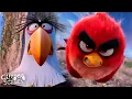 Download Lagu Red’s Risky Plan to Stop the Pigs 🐷🔥 | The Angry Birds Movie