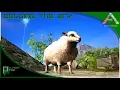 Soloing the Ark S4E24 Ovis Taming - Oviraptor Taming