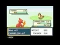 Pokemon Fire Red squirrels - GameBoy Emulator