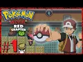Pokemon red chapter cheats