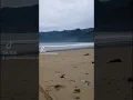 Download Lagu Hasbunababykid Explore pantai Lenggoksono malang Laut Pantai selatan
