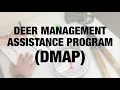 The Deer Management Assistance Program DMAP What It Is and Why You Should Be Involved