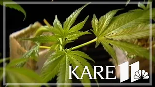 Rise Dispensaries launch recreational products in five Minnesota cities