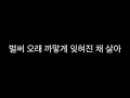 김필(Kim Feel)-어느 날 우리 (스타트업 OST)/가사(Lyrics)