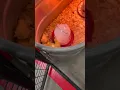Tractor Supply chicks Ducklings