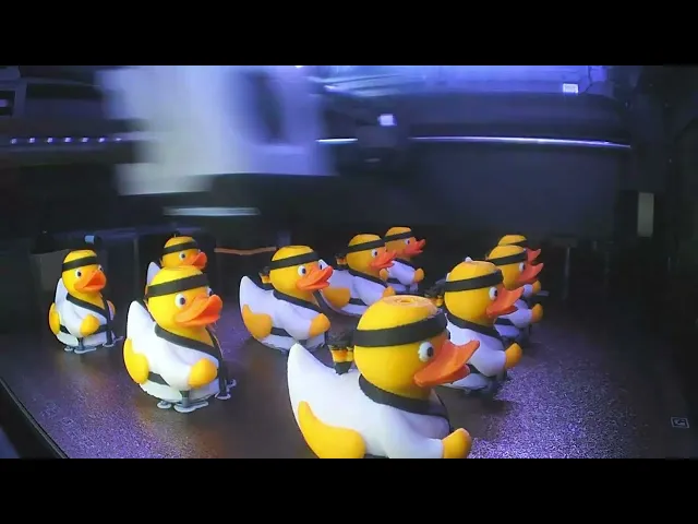 Martial Arts Duck video thumbnail