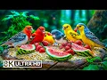 Download Lagu Birds by the Quiet Stream 8K ULTRA HD 🐾 Peaceful Landscapes with Soul-Soothing Music